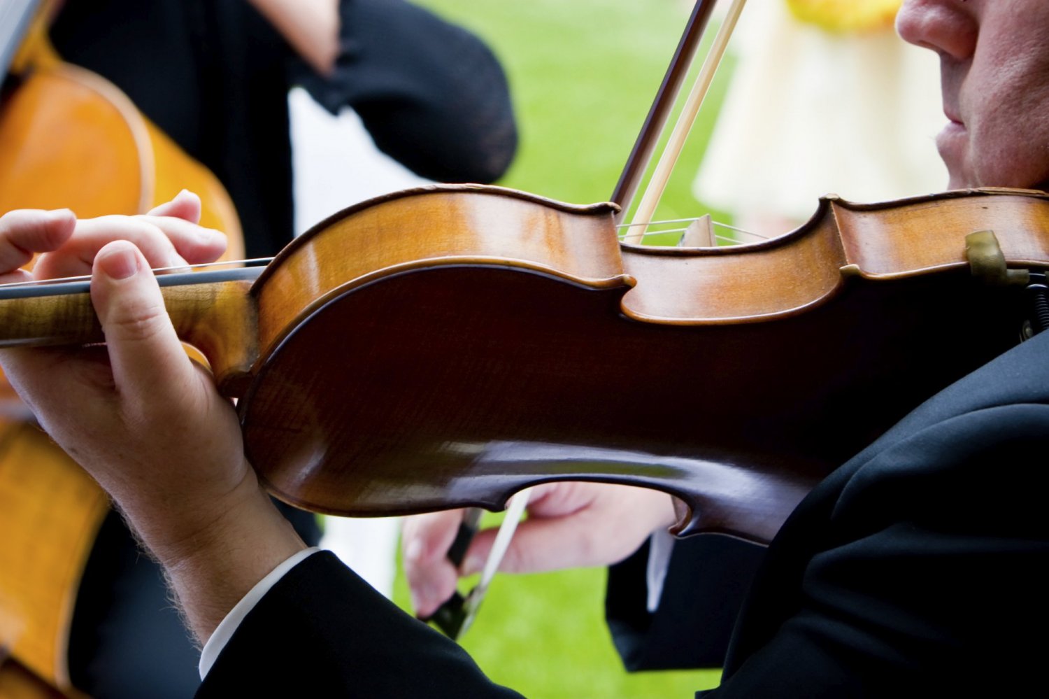 Musical no Parque